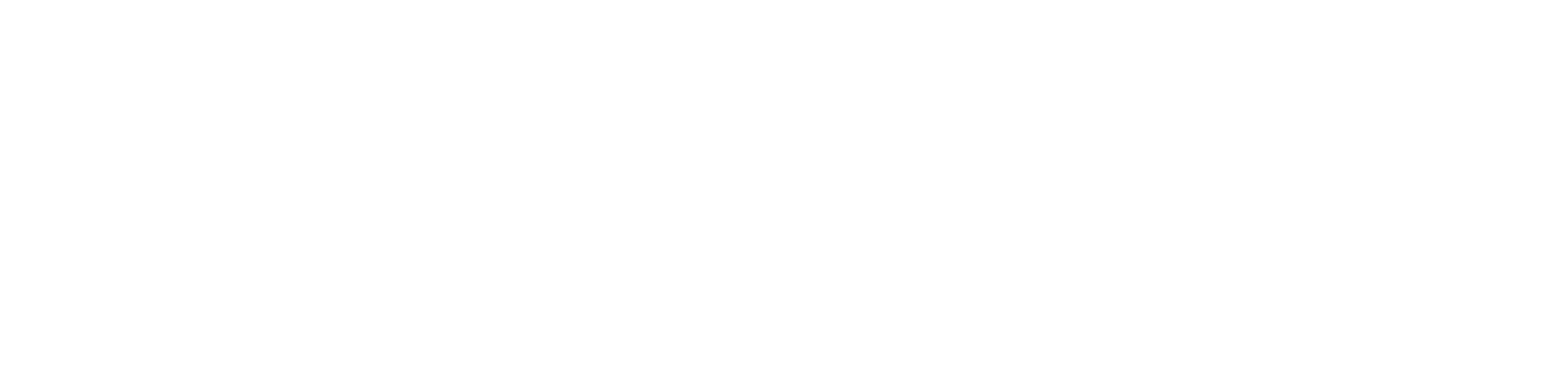 Logo Winnin_Horizontal White-1